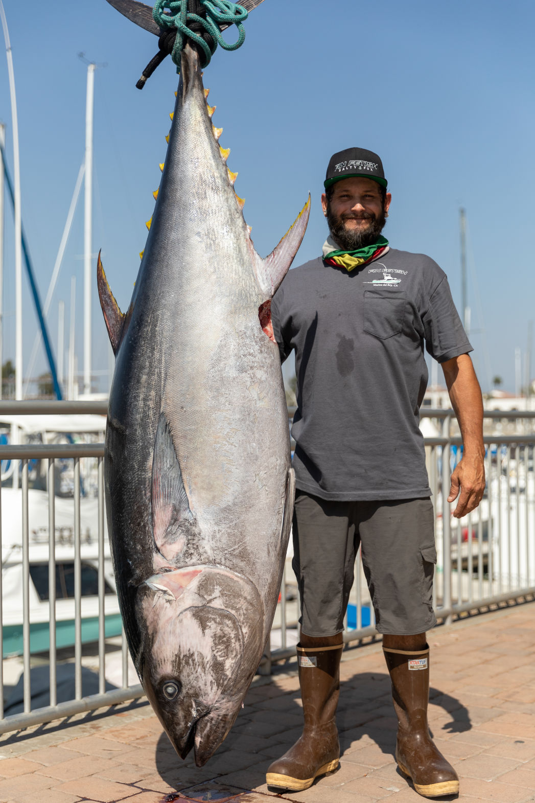 Fin Fetish for B&K-12